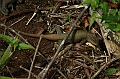 Resize of _MG_1968